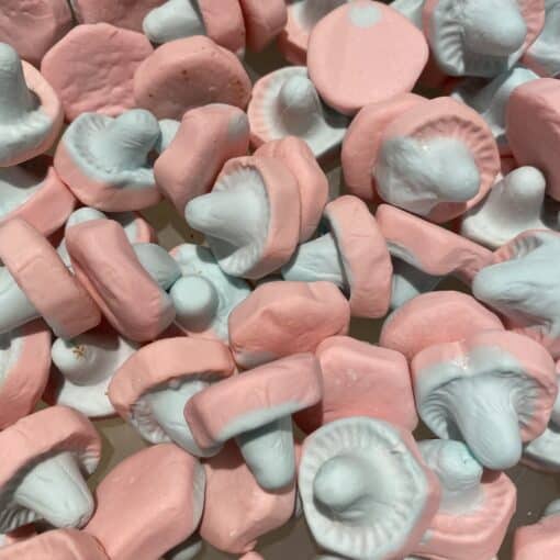 Franssons-Fizzy svampar