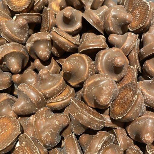 Franssons Chokolade Svampe